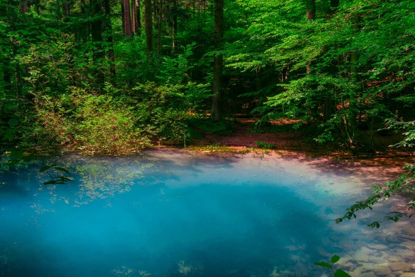 Очиул Бейулуй Небольшое Изумрудное Озеро Ущелье Нера Национальном Парке Беусница — стоковое фото