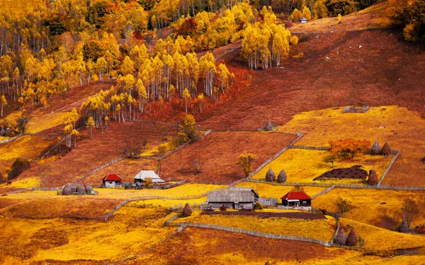 Горный Пейзаж Летнее Утро Румыния Fundatura Ponorului — стоковое фото