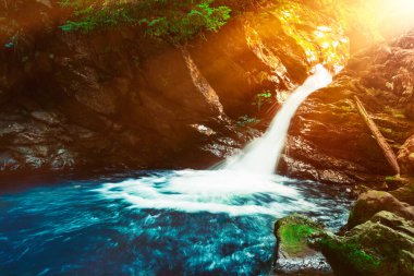 Şelale dağ manzarası yakın. Dağ nehri şelalesi manzarası. Şelale nehri sahnesi