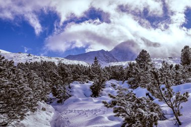 Retezat Dağları Ulusal Parkı 'nın çevresindeki tepeleri kaplayan alçak bulutlar