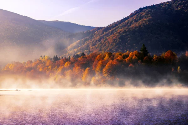 Dağların Sonbahar Manzarası Renkli Ormanlarla Dolu — Stok fotoğraf