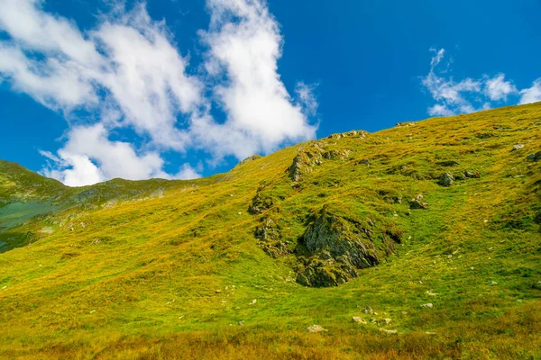 Montañas Fagatas Rumania Hermoso Paisaje Naturaleza Verano — Foto de Stock