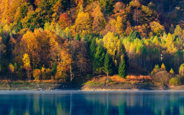 Paysage Automne Montagne Avec Forêt Colorée Photos De Stock Libres De Droits