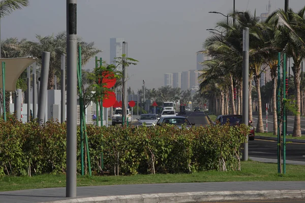 Jeddah Suudi Arabistan Corniche Yolunda Palmiye Parkı Jeddah Suudi Arabistan — Stok fotoğraf