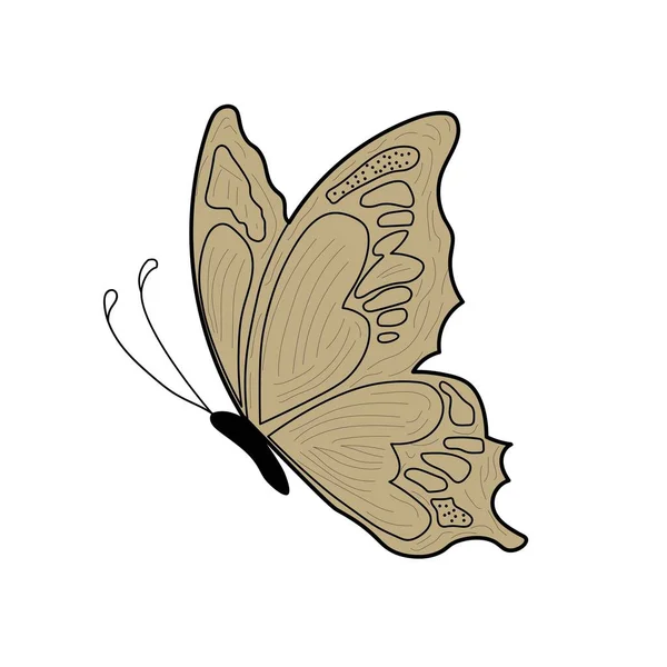 Motýl Design Ilustrace Plochý Vektor — Stockový vektor