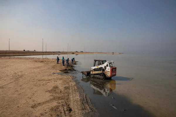 Tekerlek Yükleyicisi Vaşak Çalışan Insanlarla Plajı Temizlemeye Çalışıyor — Stok fotoğraf