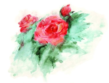 Watercolor sketch of red roses. Two flowers and a bud, green leaves. Isolated element on a white background.