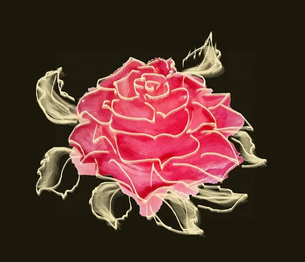 A rough sketch of a pink rose on a dark background. Pink watercolor, rough golden outline and golden leaves. Isolated object.