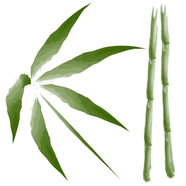 Zestaw Liści Łodyg Bambusa Izolowane Zielone Elementy Białym Tle Prosty — Zdjęcie stockowe