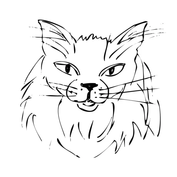 Rough Outline Sketch Cat Face Black Lines White Background Isolated — Stock Photo, Image