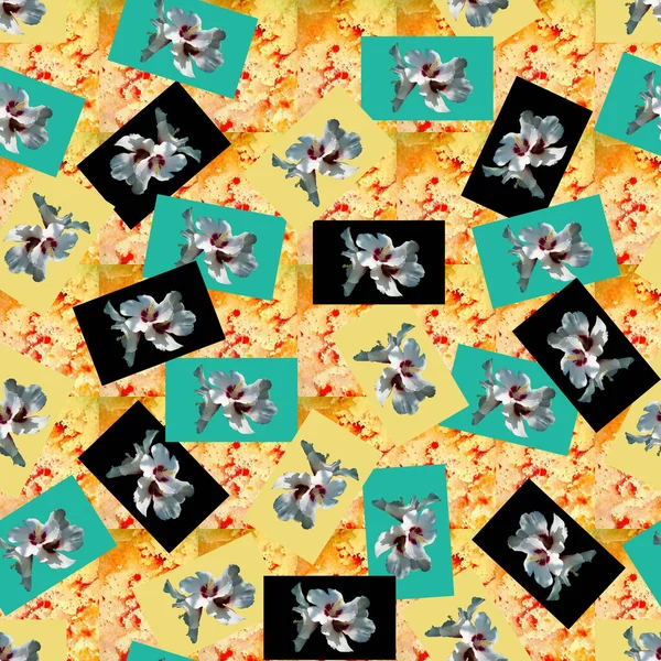 Cartes Vœux Multicolores Motif Sans Couture Avec Fleurs Hibiscus Les — Photo