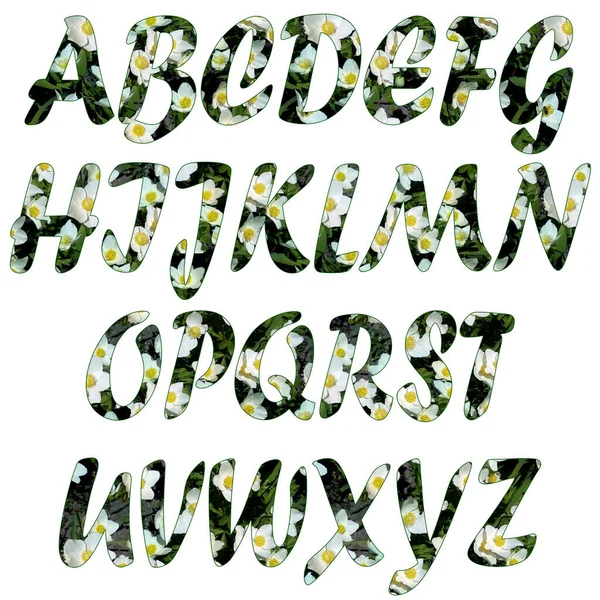 拉丁字母的格子结构字母集 自然花纹 白色的花 深绿色的叶子 白色背景上的孤立字母 基于Forte — 图库照片