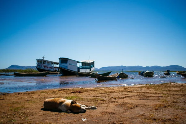 Barcos Espera Passageiros Nas Margens Rio Sento Viagem Juazeiro Petrolina — Fotografia de Stock