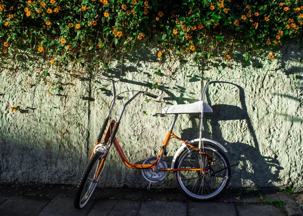 Красивая Оранжевая Винтажная Стоянка Велосипедов Ржавой Белой Стене Растениями — стоковое фото