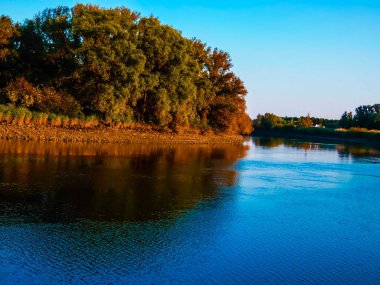 Berlare 'deki Scheldt' ler, Flanders 'lar ağaçlarla..