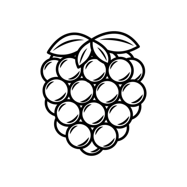 Vektorlinie Kunst Himbeer Symbol Vereinzelte Fruchtsilhouette Cartoon Stil Obst Piktogramm — Stockvektor