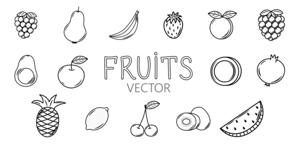 Vektör meyve ve böğürtlen ikonları. Renklendirme için karikatür elementleri koleksiyonu. Skeç tarzı meyveler