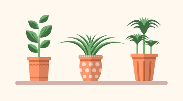 Vector Green Flat Plants Pots Shelf Simple Interior Illustration Floral — Stock Vector