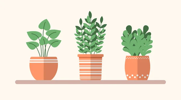 Vector Plantas Planas Verdes Macetas Estante Ilustración Interior Simple Elementos — Vector de stock