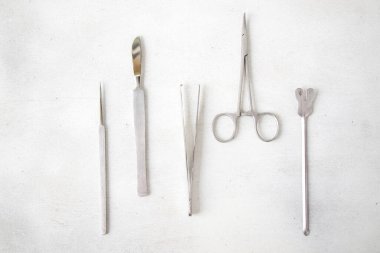 İnceleme kiti - Anatomi, Biyoloji, Veterinerlik, Neşter Bıçaklı Deniz Biyolojisi Kurbağaları Kesmek İçin Kalitesiz Paslanmaz Çelik Aletler