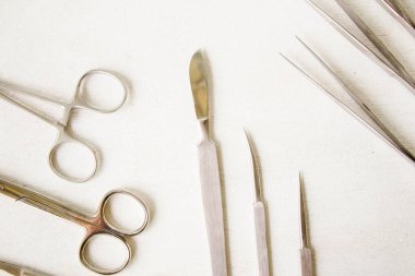 İnceleme kiti - Anatomi, Biyoloji, Veterinerlik, Neşter Bıçaklı Deniz Biyolojisi Kurbağaları Kesmek İçin Kalitesiz Paslanmaz Çelik Aletler
