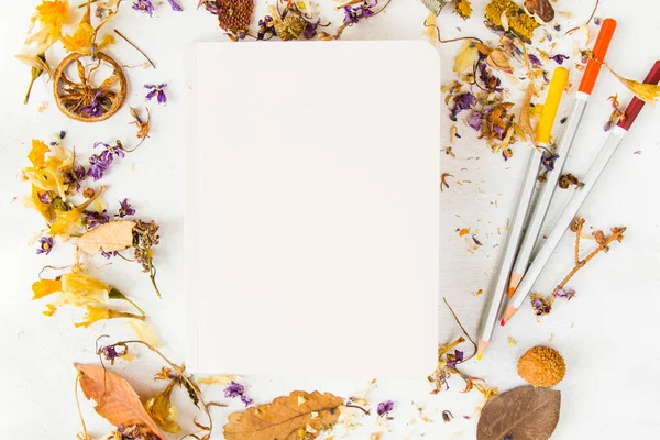 Notebook, pencils and plants on the white background, studio shot. Colorful stationery things and accessories. Marketing photos for business and web.