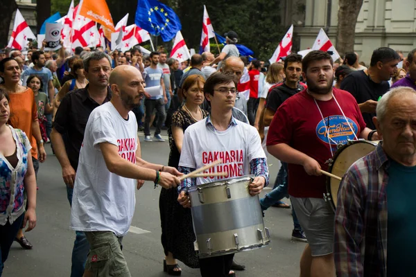 Proteste Georgiane Davanti Parlamento Della Georgia Noto Anche Come Gavrilov — Foto Stock