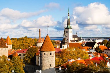 Tallinn şehri manzarası, renkli çatılar ve binalar. Litvanya