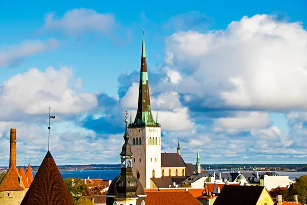 Tallinn Városra Néző Színes Tetők Épületek Litvánia — Stock Fotó