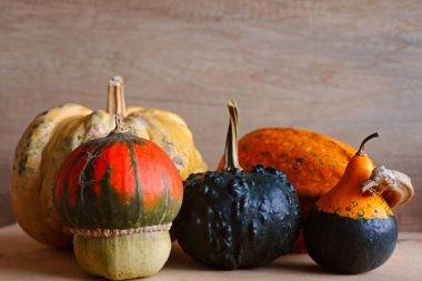 Masada balkabakları, tarımsal sebzeler.