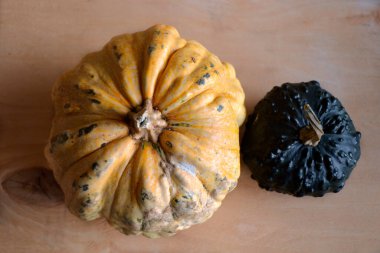 Masada balkabakları, tarımsal sebzeler.