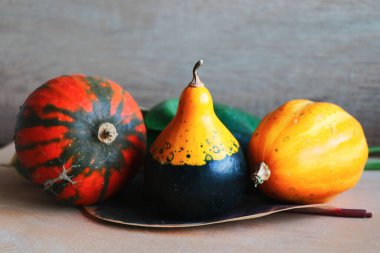 Masada balkabakları, tarımsal sebzeler.