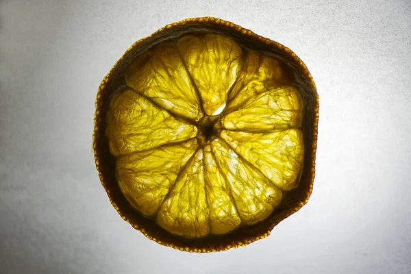 Dry lemon on the white background , studio shot