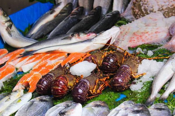 イスタンブールの通りにある海の食べ物 ロブスター 魚などの市場 トルコ — ストック写真