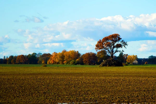 Пейзаж Долины Европе Облачное Небо Осенние Цвета Деревья Горизонт — стоковое фото