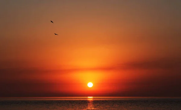 Beau Coucher Soleil Dans Mer Noire Géorgie Horizon Ciel Coloré — Photo