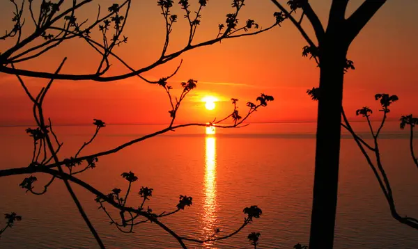 Piękny Zachód Słońca Morzu Czarnym Gruzji Horyzont Kolorowe Niebo Pomarańczowy — Zdjęcie stockowe