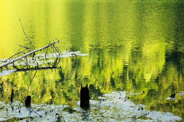 Lac Bateti Dans Les Montagnes Géorgie Khareli Forêt Couleurs Vertes — Photo