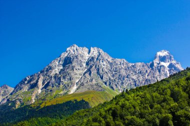 Ushba 'nın dağ manzarası ve Gürcistan' ın güzel manzarası. Orman ve alp bölgesi.