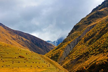 Gürcistan 'daki dağ manzarası ve güzel manzara
