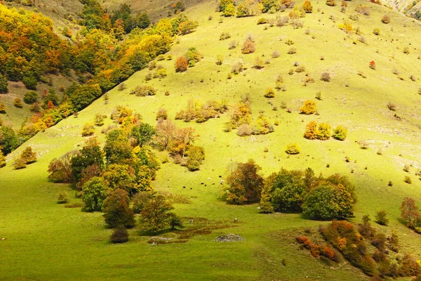 Krajobraz Górski Piękny Widok Gruzji — Zdjęcie stockowe