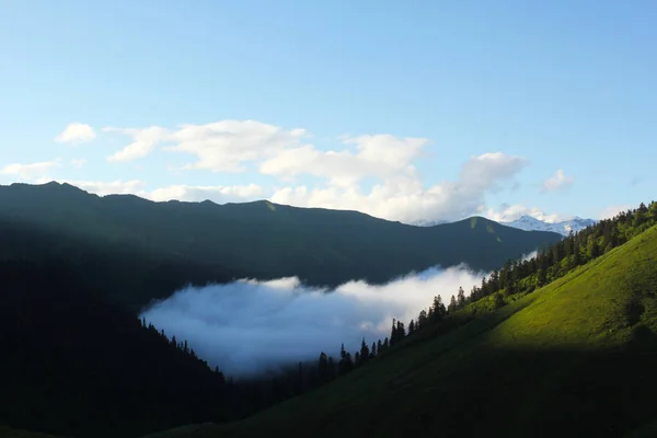 조지아의 산맥에 지평선 — 스톡 사진