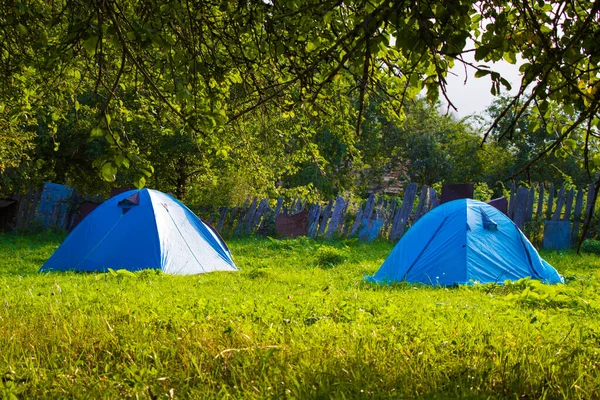 Два Синих Лагеря Саду Трава Деревья Природа Джорджия Кемпинг — стоковое фото