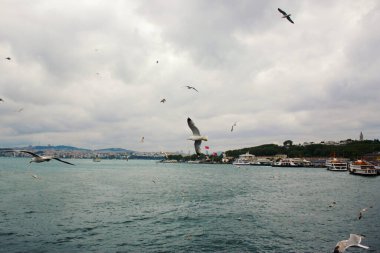 İSTANBUL, TURKEY - MAYIS 01, 2016: İstanbul arka planında yüzen martılar, Türkiye 'nin kuzeybatısında yer alan dar, doğal bir boğazdır ve uluslararası alanda önemli bir su yoludur.