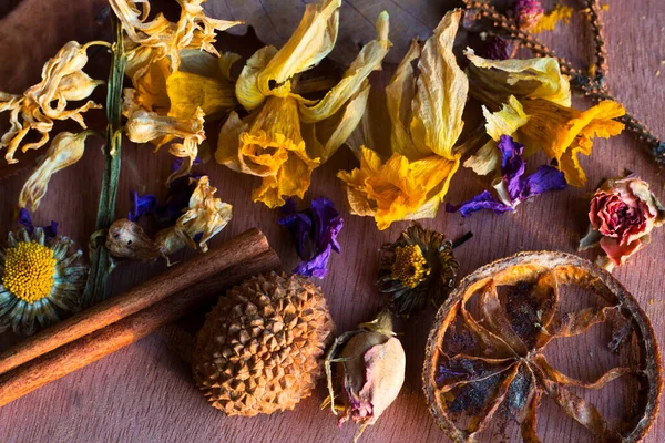 Dry flowers, plants and fruit macro and still life, colorful nature background. Dry things in the beautiful picture.