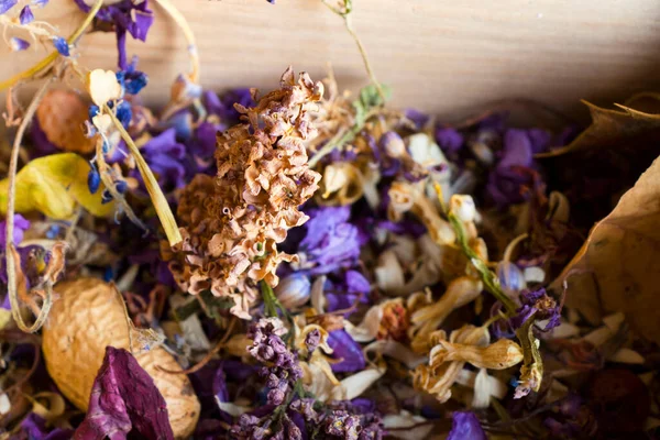 Dry flowers, plants and fruit macro and still life, colorful nature background. Dry things in the beautiful picture.