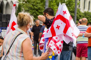 Gavrilov 'un Gürcistan' daki hükümet karşıtı protestolar sonrasında Gürcistan Parlamentosu önünde protesto gösterileri.