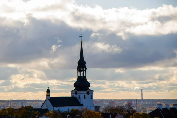 도시의 Tallinn 니콜라우스 건축적 풍경은 탈린의 마을에 양식의 파노라마처럼 보입니다 — 스톡 사진