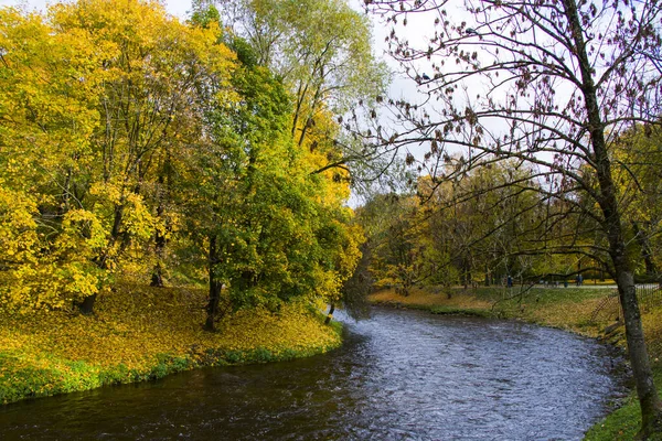 Famoso Parque Centro Ciudad Vilna Otoño Caída Árboles Hojas Lituania — Foto de Stock
