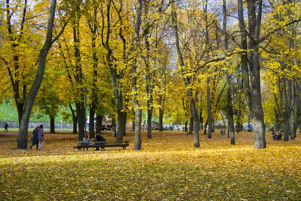 Słynny Park Centrum Wilna Jesień Jesień Drzew Liści Litwa — Zdjęcie stockowe